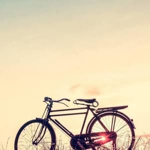 Meet your Posher, Ken